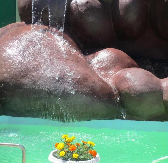 پانسیون Norfolk Guest House