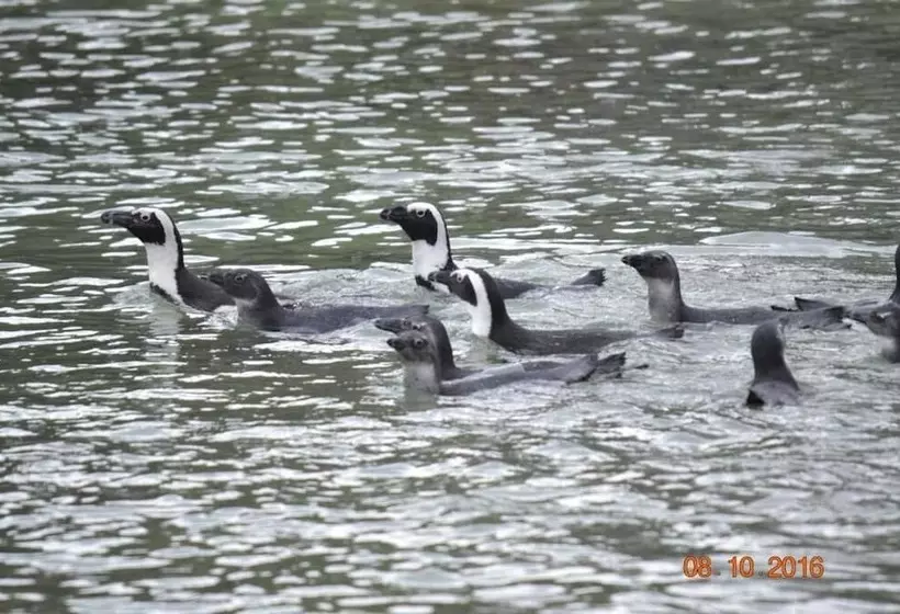 پانسیون Oceans Drift Guest House   Adults Only