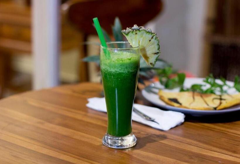 Pensjonat Vinayaka Ubud