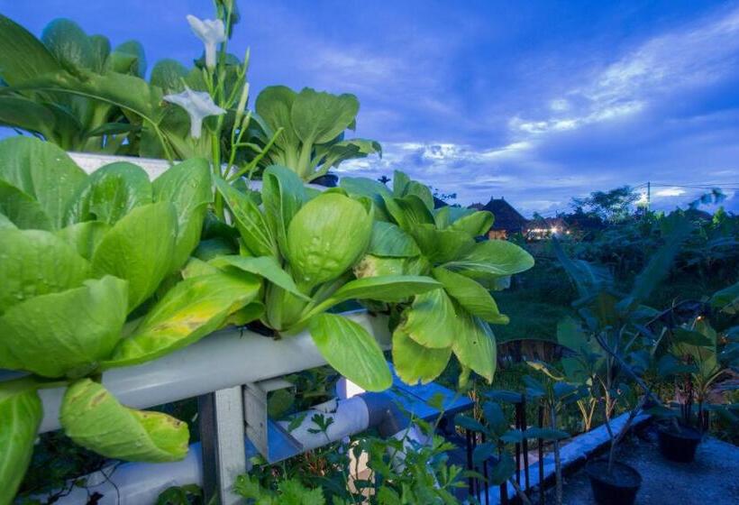 Pensjonat Vinayaka Ubud