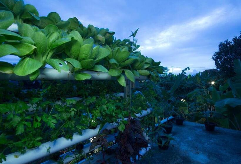 Pensjonat Vinayaka Ubud