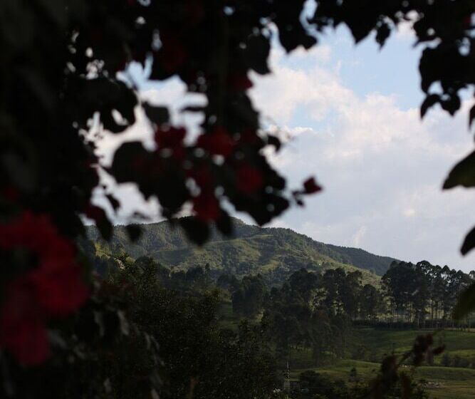 پانسیون Buriti Ecoh Rnt56521