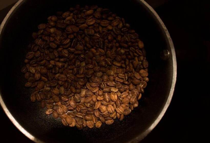 پانسیون Buriti Ecoh Rnt56521