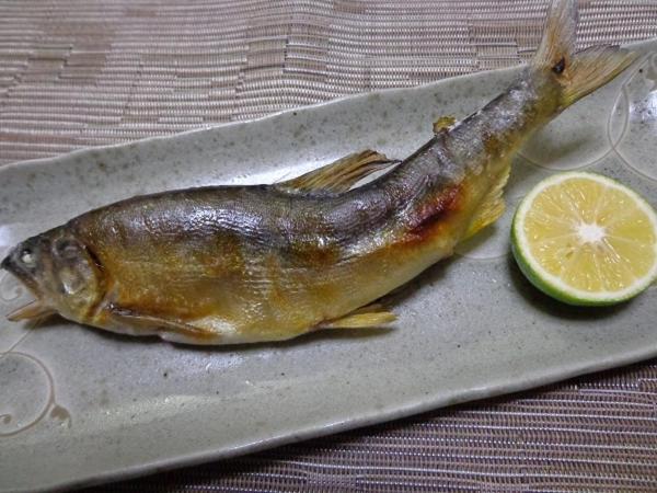 Общежитие Shikino Yado Subaru