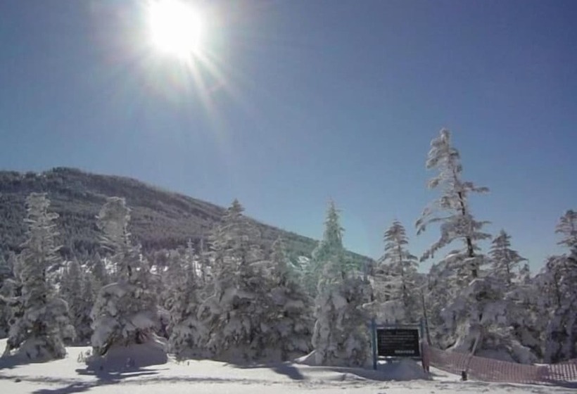 Общежитие Shikino Yado Subaru