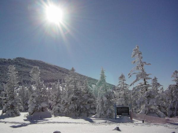 Общежитие Shikino Yado Subaru