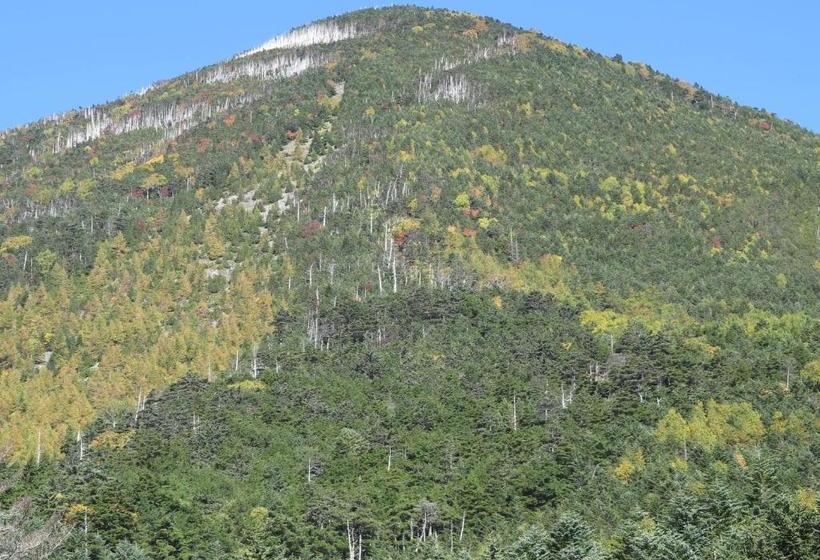 Общежитие Shikino Yado Subaru