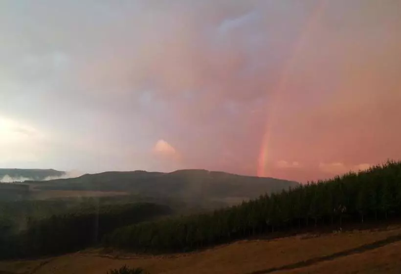 Curry S Post Bed & Breakfast