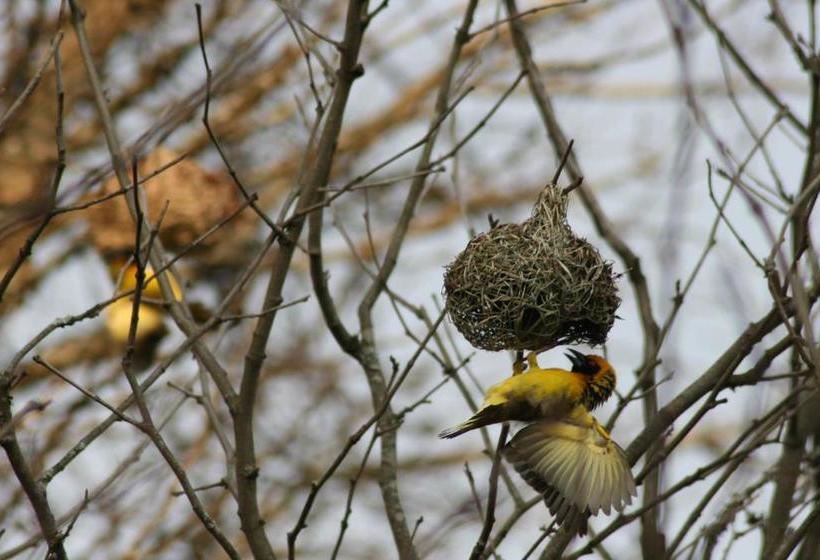 Curry S Post Bed & Breakfast