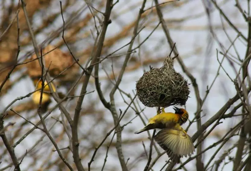 Curry S Post Bed & Breakfast