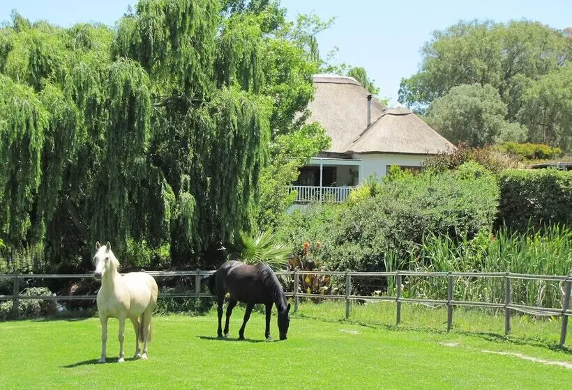 ペンション Acara Guesthouse & Cottages