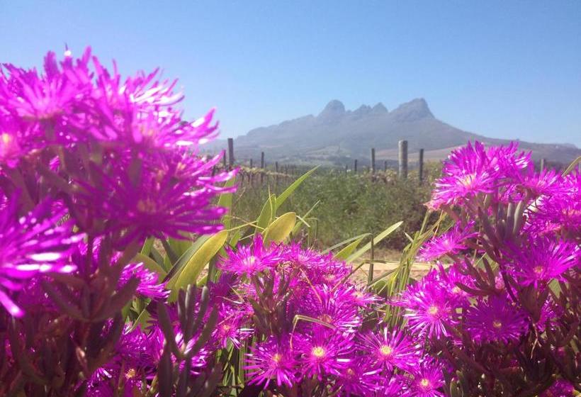 膳宿费 Acara Guesthouse & Cottages