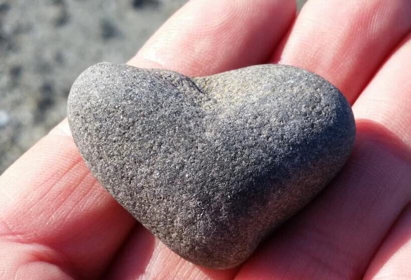 הוסטל Saltair Inn Waterfront B&b