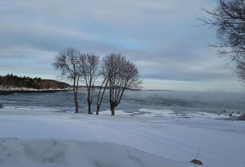 הוסטל Saltair Inn Waterfront B&b