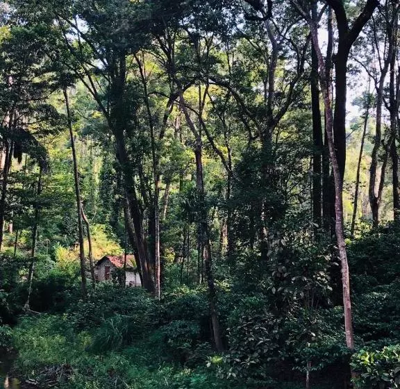 ホテル Kwality Estate