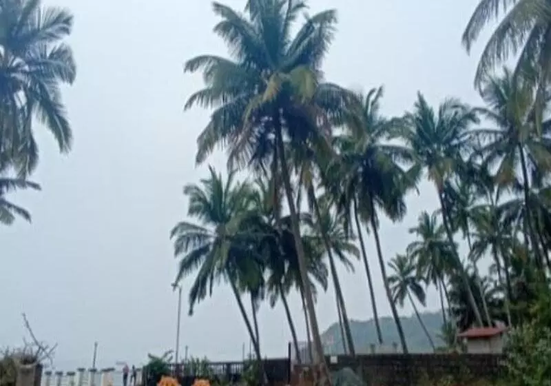 Majatalo Leon Hide Out Guest House