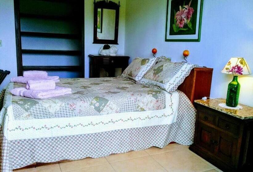 Bed & Breakfast Suites Em Meio A Mata Atlântica