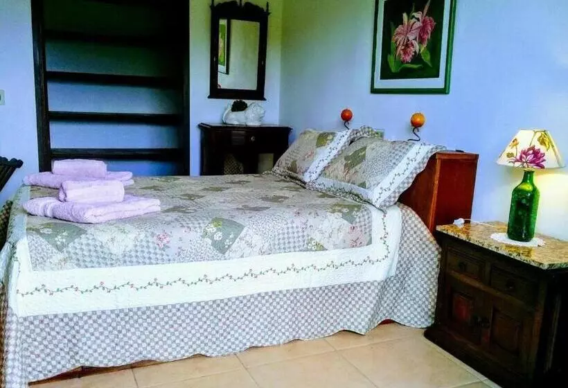 Aamiaismajoitus (B&B) Suites Em Meio A Mata Atlântica