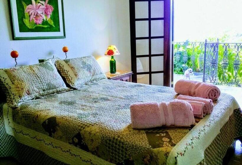 Bed & Breakfast Suites Em Meio A Mata Atlântica
