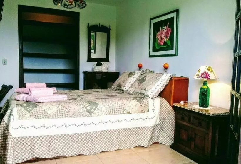 Aamiaismajoitus (B&B) Suites Em Meio A Mata Atlântica