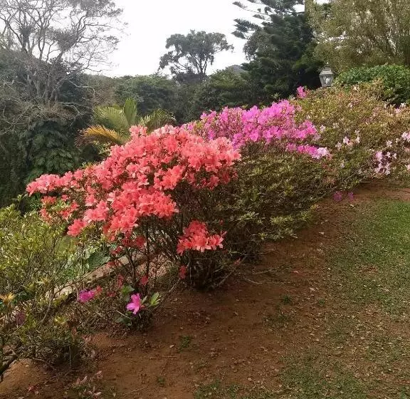 Aamiaismajoitus (B&B) Suites Em Meio A Mata Atlântica