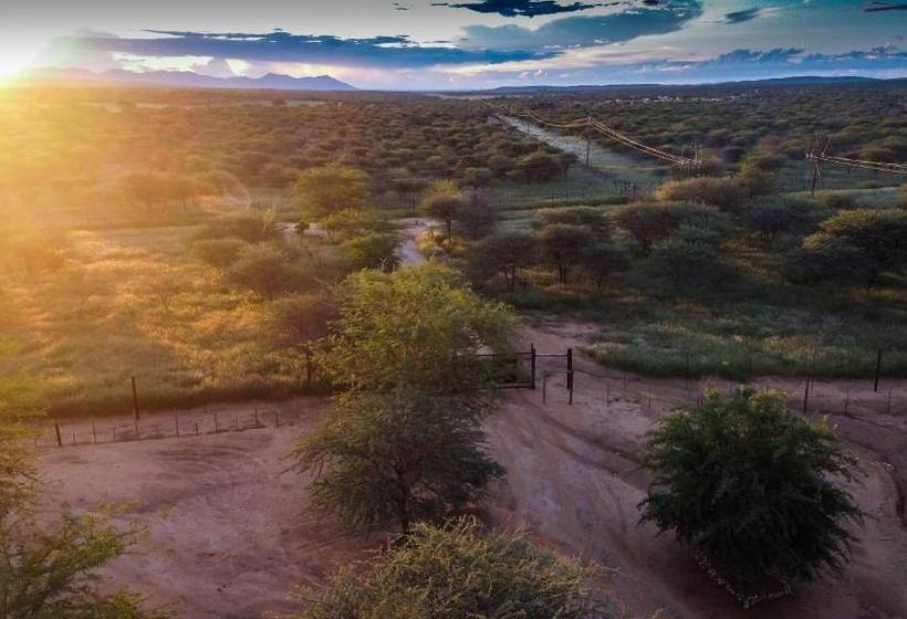 پانسیون Lion's Den Guesthouse