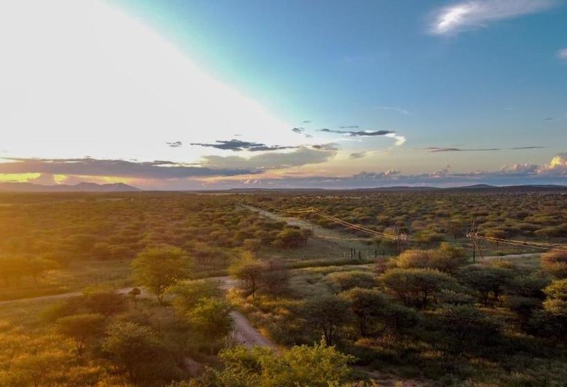 پانسیون Lion's Den Guesthouse