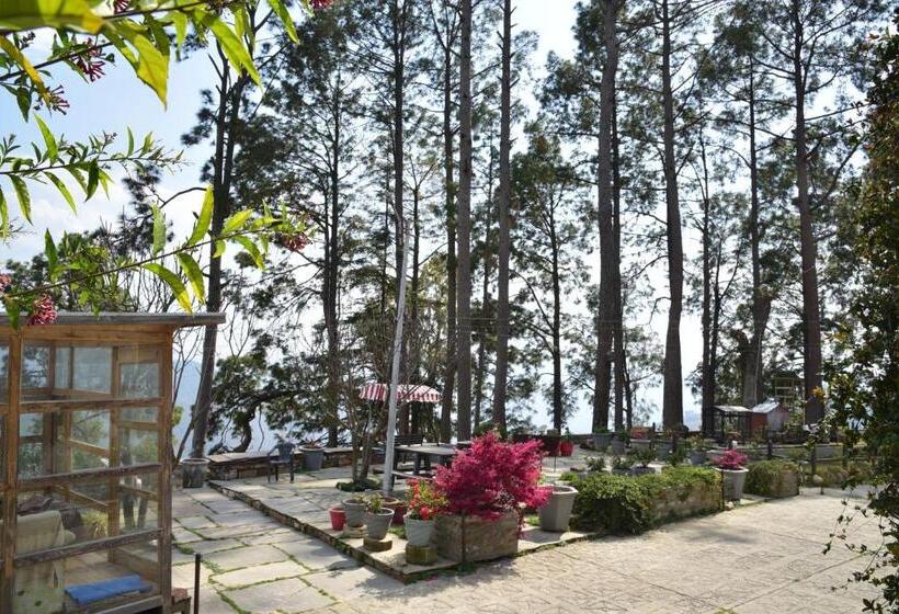 膳宿费 Deodar Homestay