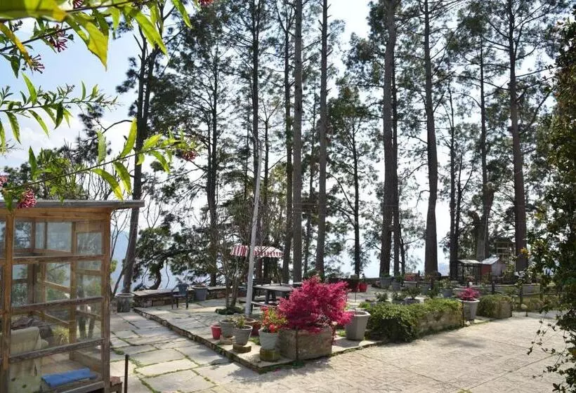 Pension  Deodar Homestay