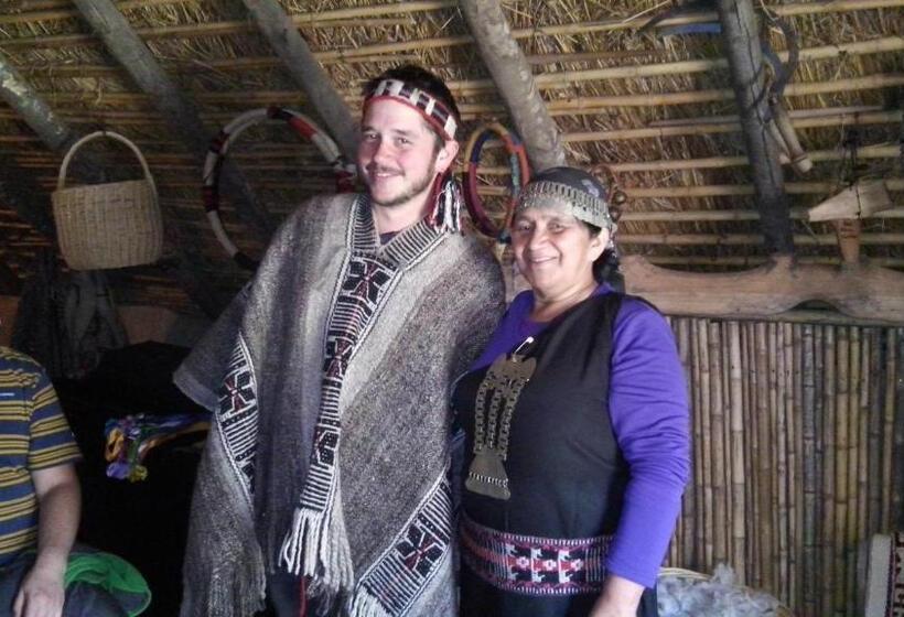 پانسیون Hostal Mahuida