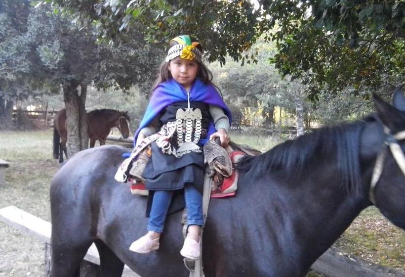 پانسیون Hostal Mahuida