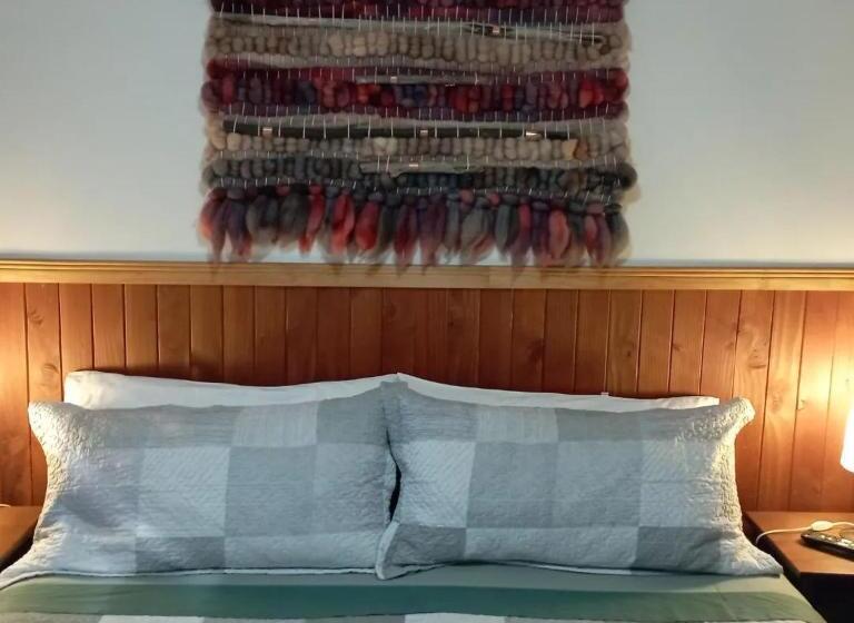 پانسیون Hostal Mahuida