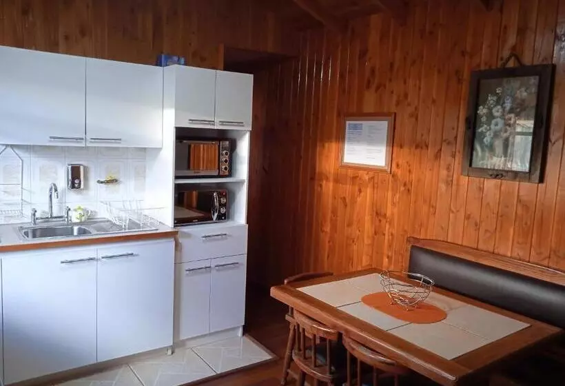 ペンション Hostal Mahuida
