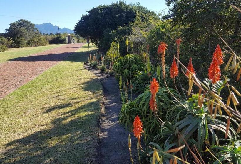 Pensionat Kaya Cabhozi At 306 On Heightsroad