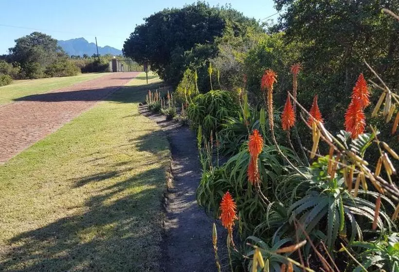 Majatalo Kaya Cabhozi At 306 On Heightsroad