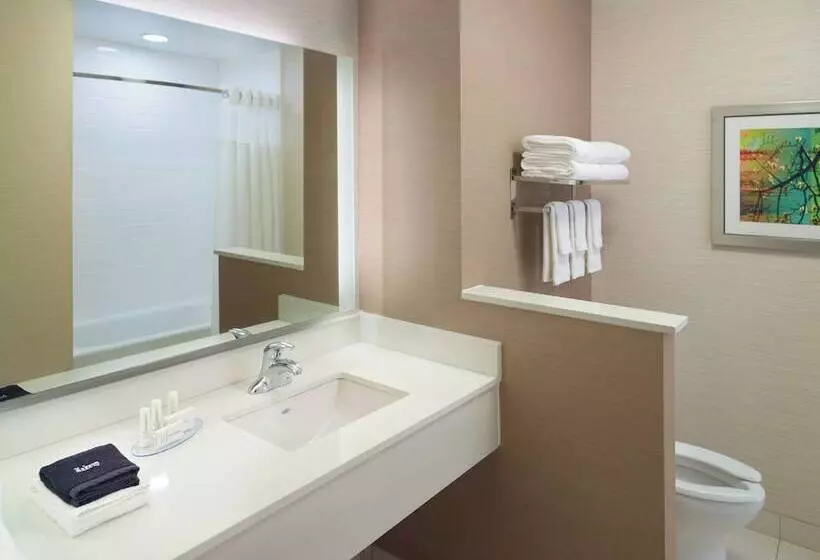 Hotelli Fairfield Inn & Suites By Marriott Hendersonville Flat Rock