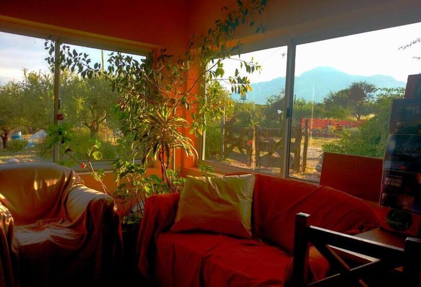 فندق صغير El Mundo Interior