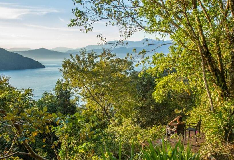 پانسیون Jungle Lodge