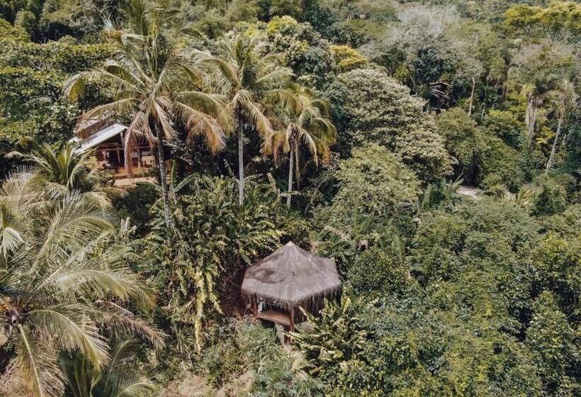 پانسیون Jungle Lodge