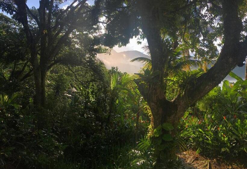 پانسیون Jungle Lodge