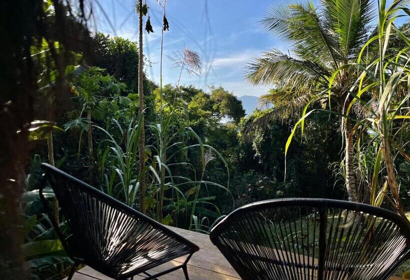 پانسیون Jungle Lodge