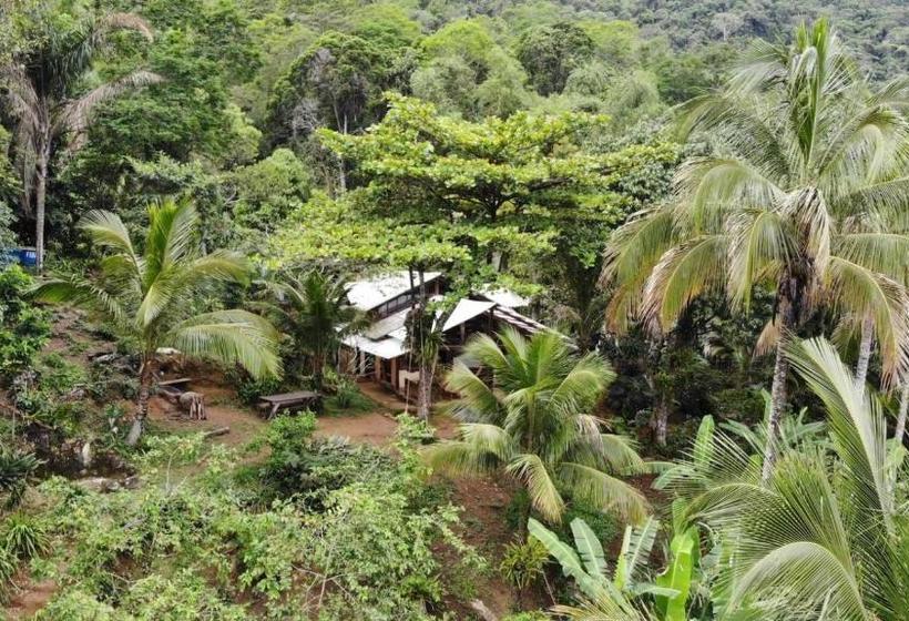 پانسیون Jungle Lodge