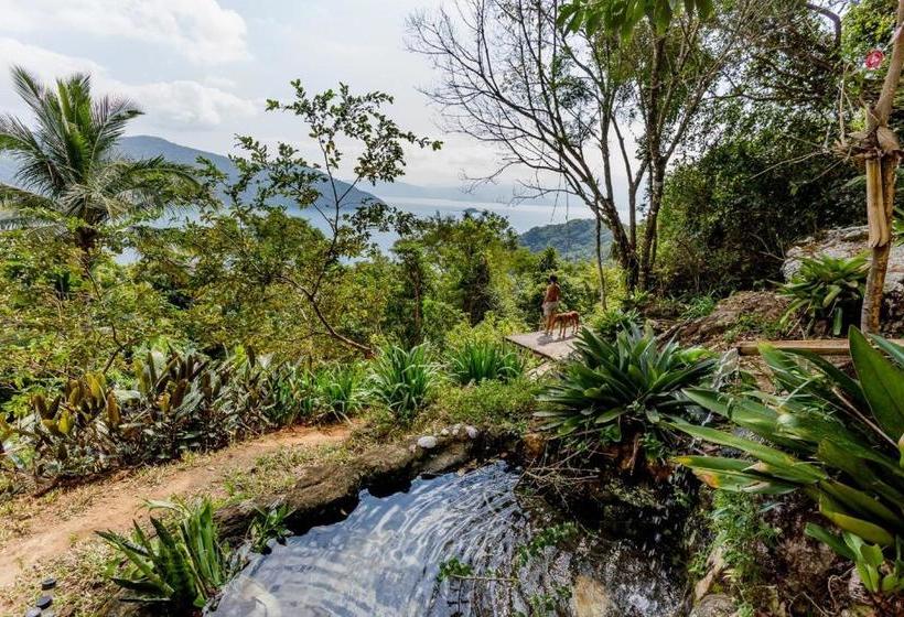 پانسیون Jungle Lodge