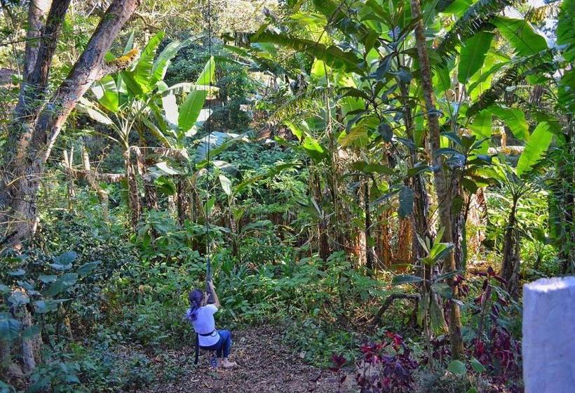 فندق Fazenda Aldeia Do Vale