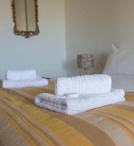 فندق Windfall Wine Farm