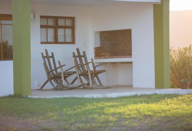 فندق Windfall Wine Farm