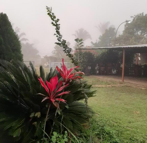 Pensión Pousada E Museu Jk