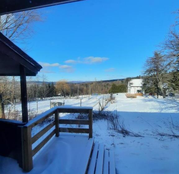 بنسيون Auberge Schweizer