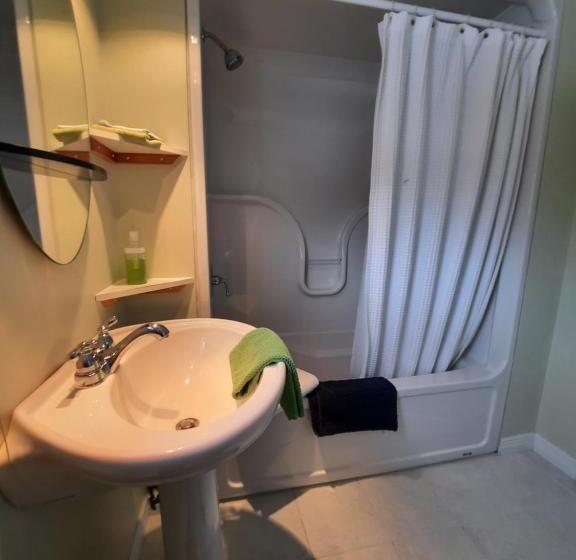 بنسيون Auberge Schweizer