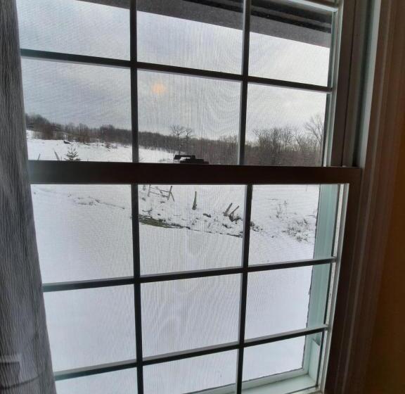 بنسيون Auberge Schweizer